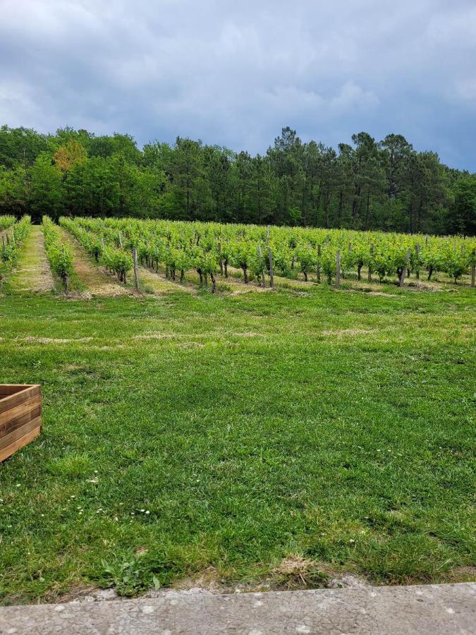 לינה וארוחת בוקר A L'Ombre De La Treille -Proche Saint-Emilion מראה חיצוני תמונה