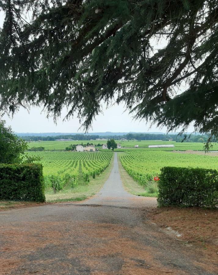 לינה וארוחת בוקר A L'Ombre De La Treille -Proche Saint-Emilion מראה חיצוני תמונה